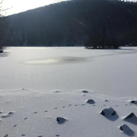 Restaurant Le Grillon شامبون-سورلاك