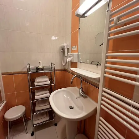 Hotel Restaurant Le Grillon Chambon-sur-Lac