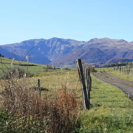 Restaurant Le Grillon Chambon-sur-Lac