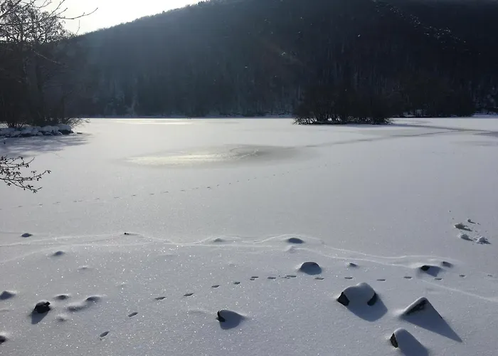 Restaurant Le Grillon Chambon-sur-Lac