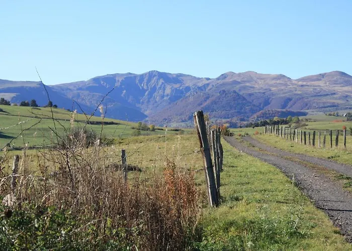 Restaurant Le Grillon Chambon-sur-Lac